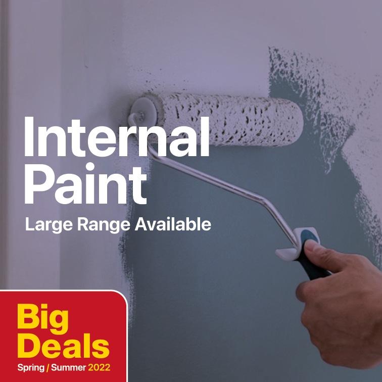 BIG Deals Internal Paint