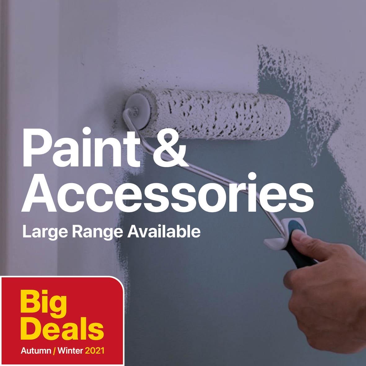 BIG Deals Paint & Accessories