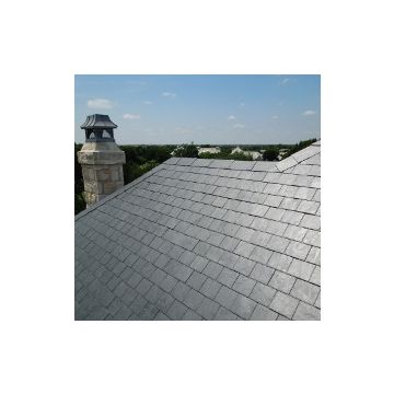 Del Carmen Prime Natural Slate 500mm x 300mm