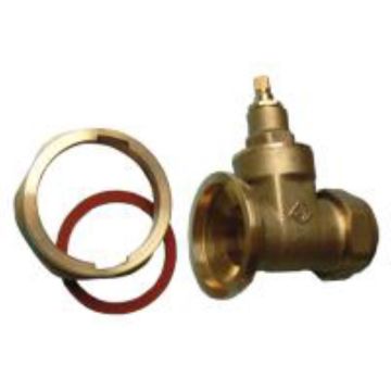 Pump Valve Gate Type 22mm