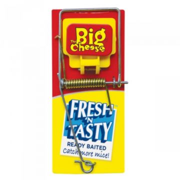 Big Cheese Fresh Baited Mouse Trap