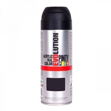 Pinty Plus Evolution Aerosol Satin Black 400ml