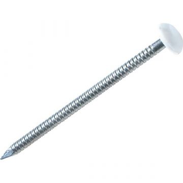 Polytop Pins 40mm White - Boxed 250
