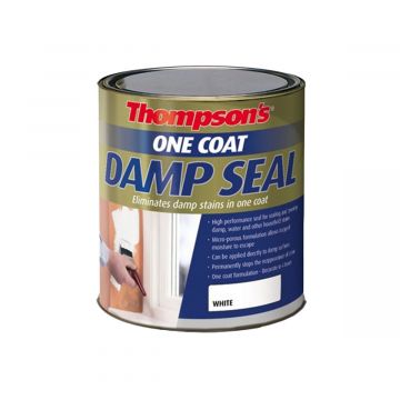 Thompsons One Coat Damp Seal 750ml