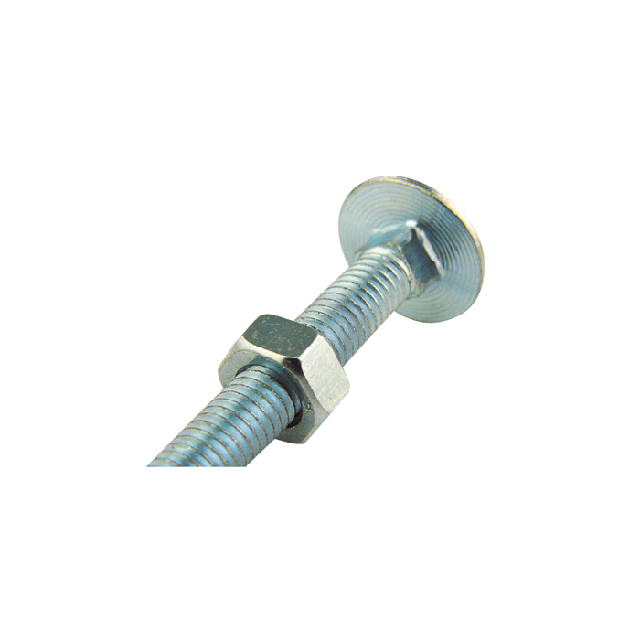 Carriage Bolt & Nut M8 x 200mm main product photo