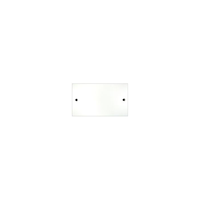 2 Gang Blank Plate main product photo