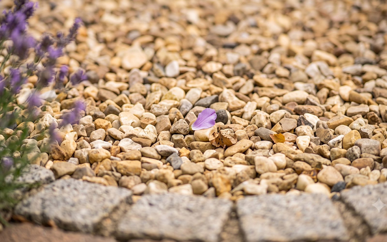 Gravel for Gardens and Driveways: Types, Sizes and How to Choose