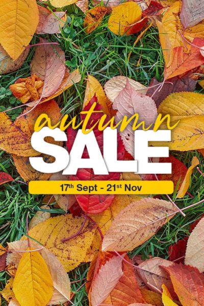 MacBlair Sale