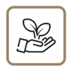 Eco-friendly composite decking icon