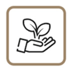Environmentally friendly eco composite decking icon