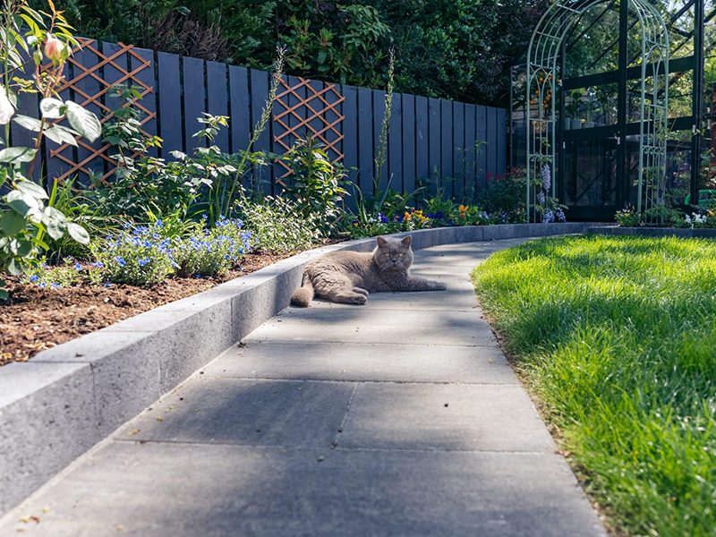 A grey Tobermore block paving garden pathway with a cat resting in the sun, bordered by a green lawn and dark wooden fence.